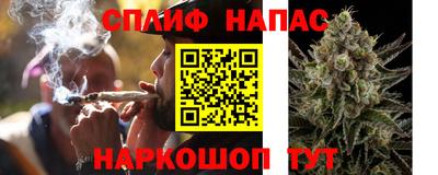 ECSTASY Канаш