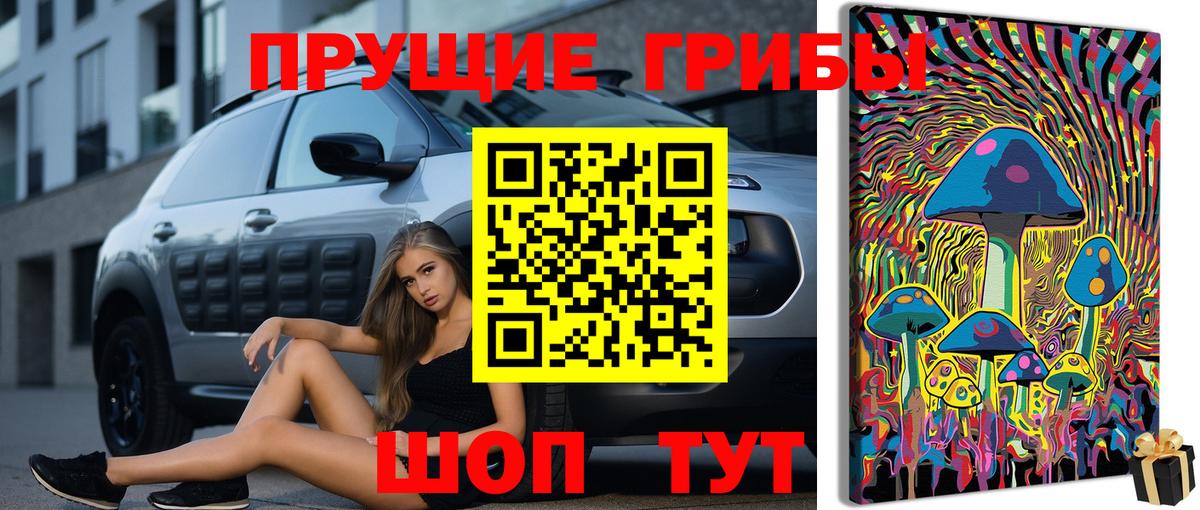 Галлюциногенные грибы MAGIC MUSHROOMS  Вход с VPN  Муравленко 