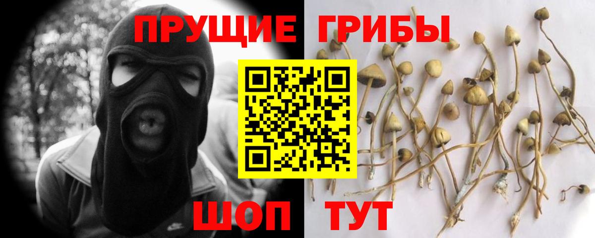 Псилоцибиновые грибы прущие грибы Муравленко